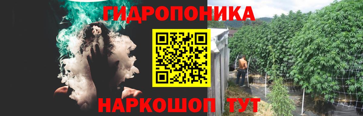 Марихуана план  МАРИХУАНА тримм  Туапсе  Вход с VPN  Каннабис Bruce Banner 