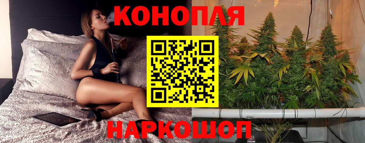 Шишки марихуана OG Kush Туапсе